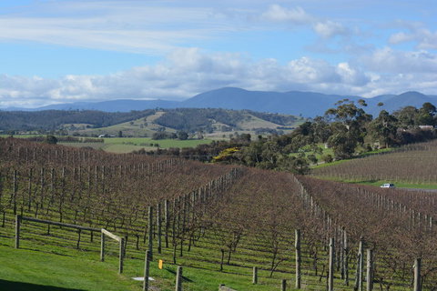2-Day Yarra Valley Wine Tour With Luxury Vineyard Resort Stay - Tweed Heads Accommodation 2