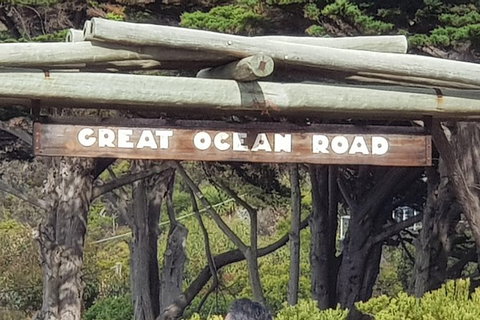 2 Day Great Ocean Road Tour From Melbourne - Tweed Heads Accommodation 24