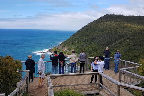 2 Day Great Ocean Road Tour From Melbourne - Tweed Heads Accommodation 16