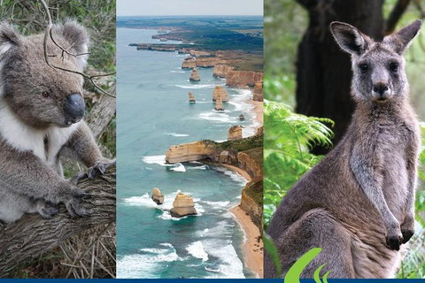 2 Day Great Ocean Road Tour From Melbourne - Tweed Heads Accommodation 15