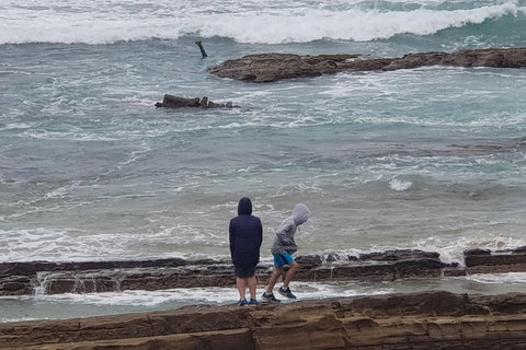 2 Day Great Ocean Road Tour From Melbourne - Tweed Heads Accommodation 4