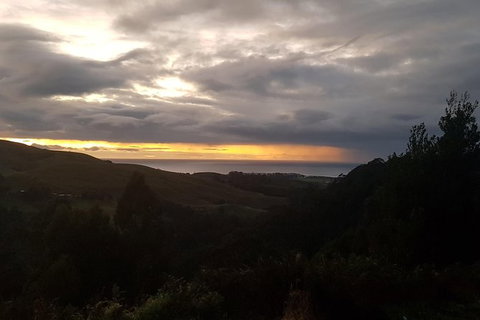2 Day Great Ocean Road Tour From Melbourne - Tweed Heads Accommodation 11