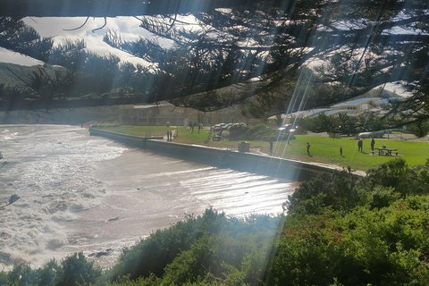 2 Day Great Ocean Road Tour From Melbourne - Tweed Heads Accommodation 20