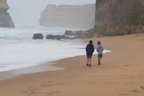 2 Day Great Ocean Road Tour From Melbourne - Tweed Heads Accommodation 23