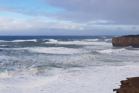 2 Day Great Ocean Road Tour From Melbourne - Tweed Heads Accommodation 21