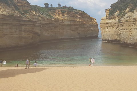 2 Day Great Ocean Road Tour From Melbourne - Tweed Heads Accommodation 14