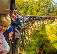 Puffing Billy Steam Train  Healesville Wildlife Sanctuary Tour From Melbourne - Tweed Heads Accommodation