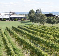 Puffing Billy Train and Yarra Valley Food and Wine Day Trip from Melbourne - Tweed Heads Accommodation