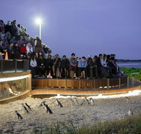 Small-Group Phillip Island Day Trip from Melbourne with Penguin Plus Viewing - Tweed Heads Accommodation