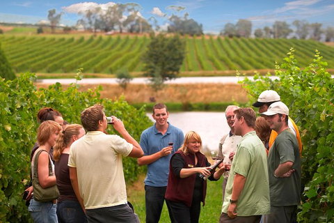 Yarra Valley Balloon Flight And Winery Tour - Tweed Heads Accommodation 17