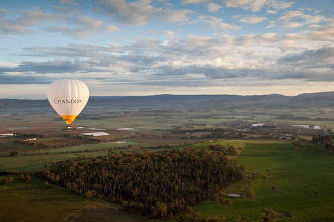 Yarra Valley Balloon Flight And Winery Tour - Tweed Heads Accommodation 12