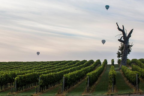 Yarra Valley Balloon Flight And Winery Tour - Tweed Heads Accommodation 19