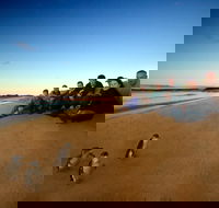 Phillip Island Ultimate Penguin Eco Tour or Skybox Experience - Tweed Heads Accommodation