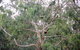Full-Day Great Ocean Road And 12 Apostles Sunset Tour From Melbourne - thumb 19