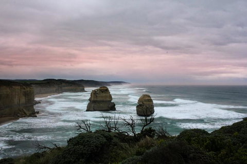 Full-Day Great Ocean Road And 12 Apostles Sunset Tour From Melbourne - Tweed Heads Accommodation 25