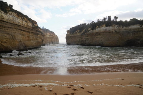Full-Day Great Ocean Road And 12 Apostles Sunset Tour From Melbourne - Tweed Heads Accommodation 5