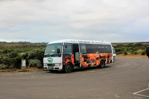 Full-Day Great Ocean Road And 12 Apostles Sunset Tour From Melbourne - Tweed Heads Accommodation 18