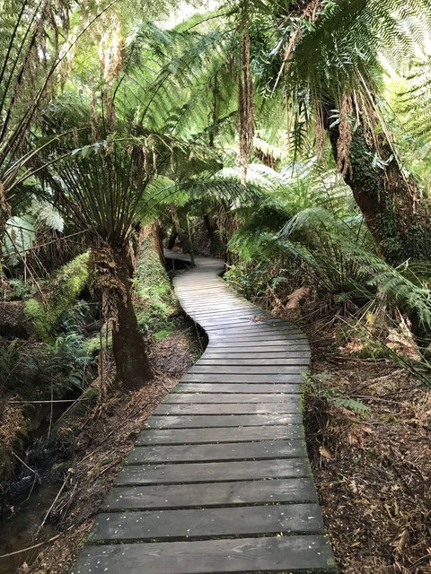Full-Day Great Ocean Road And 12 Apostles Sunset Tour From Melbourne - Tweed Heads Accommodation 8