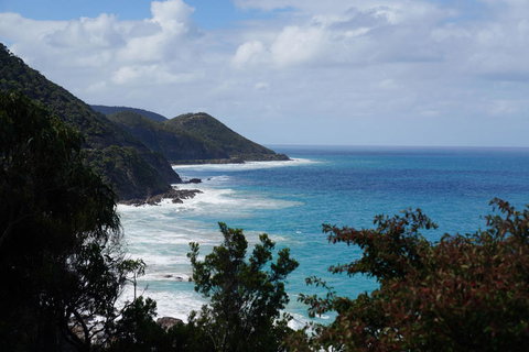 Full-Day Great Ocean Road And 12 Apostles Sunset Tour From Melbourne - Tweed Heads Accommodation 4