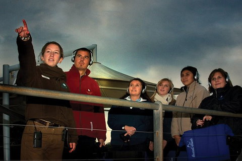 Phillip Island Penguin Parade Express Tour From Melbourne - Tweed Heads Accommodation 4