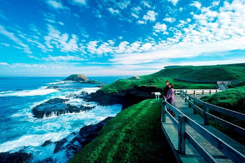 Phillip Island Penguin Parade Express Tour From Melbourne - Tweed Heads Accommodation 8