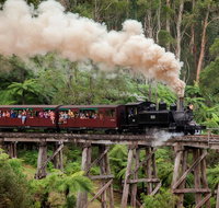 Melbourne Combo Great Ocean Road Puffing Billy Moonlit Sanctuary  Penguins - Tweed Heads Accommodation