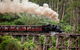 Melbourne Combo: Great Ocean Road, Puffing Billy, Moonlit Sanctuary & Penguins - thumb 2