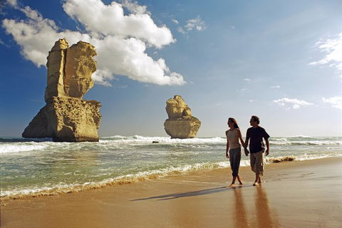 Melbourne Combo: Great Ocean Road, Puffing Billy, Moonlit Sanctuary & Penguins - Tweed Heads Accommodation 8