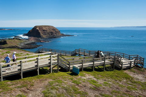 Melbourne Combo: Great Ocean Road, Puffing Billy, Moonlit Sanctuary & Penguins - Tweed Heads Accommodation 3