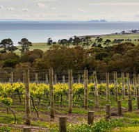 Bellarine Peninsula Small Group Wine Tour with 2 Course Lunch and Morning Tea - Tweed Heads Accommodation