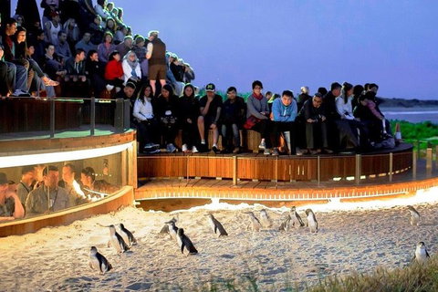 Small-Group Phillip Island Day Trip From Melbourne - Tweed Heads Accommodation 0