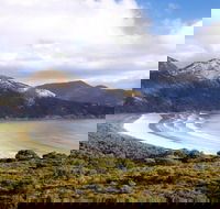 Wilsons Promontory Day Trip from Phillip Island - Tweed Heads Accommodation