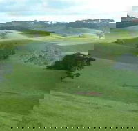 Day Tour of Phillip Island  Surrounding Region - Tweed Heads Accommodation