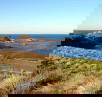 Phillip Island Walking  Bird Watching Tour - Tweed Heads Accommodation