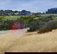 Estate to Plate Montalto Vineyard Gourmet Lunch and Wine-Tasting Tour - Tweed Heads Accommodation