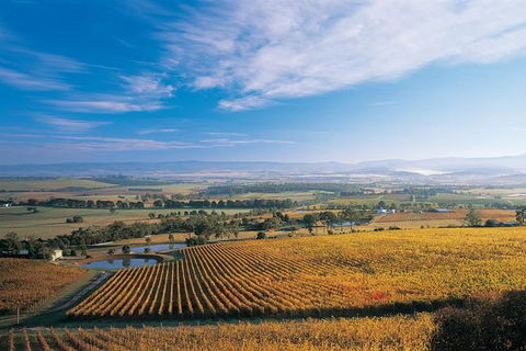 Half Day Yarra Valley Winery Day Trip From Melbourne - Tweed Heads Accommodation 2