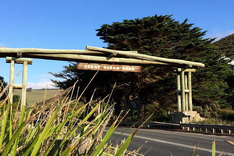 Melbourne Super Saver: Great Ocean Road + Wilsons Promontory + Attraction Pass - Tweed Heads Accommodation 5