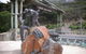 Melbourne Super Saver: Great Ocean Road + Wilsons Promontory + Attraction Pass - thumb 6