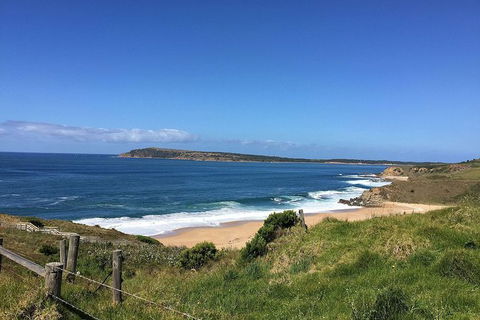 George Bass Coastal Walk - Tweed Heads Accommodation 5