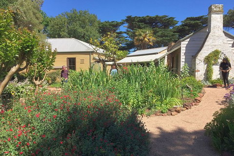 Phillip Island Tour Including Phillip Island Penguin Parade - Tweed Heads Accommodation 9