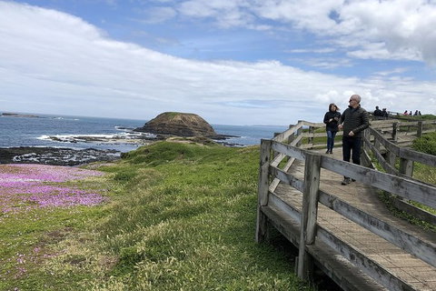 Phillip Island Tour Including Phillip Island Penguin Parade - Tweed Heads Accommodation 10