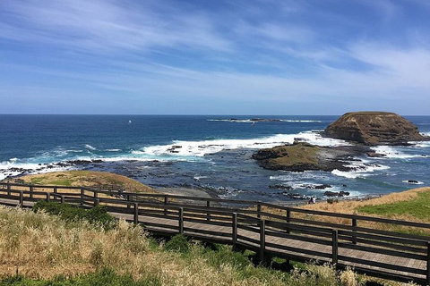 Phillip Island Tour Including Phillip Island Penguin Parade - Tweed Heads Accommodation 6