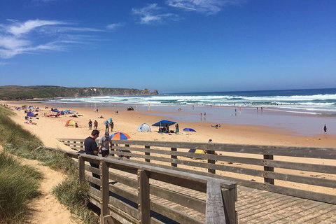 Phillip Island Tour Including Phillip Island Penguin Parade - Tweed Heads Accommodation 2