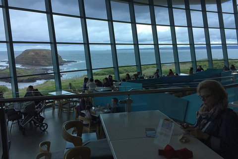 Phillip Island Tour Including Phillip Island Penguin Parade - Tweed Heads Accommodation 4