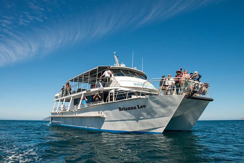 Wilsons Prom Whale Cruise - Tweed Heads Accommodation 1