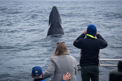 Wilsons Prom Whale Cruise - Tweed Heads Accommodation 8
