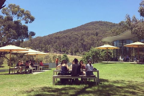 CHEVY CONVERTIBLE Package For 2 People- Wine Lunch Cheese & Chocolate From Melb. - Tweed Heads Accommodation 6