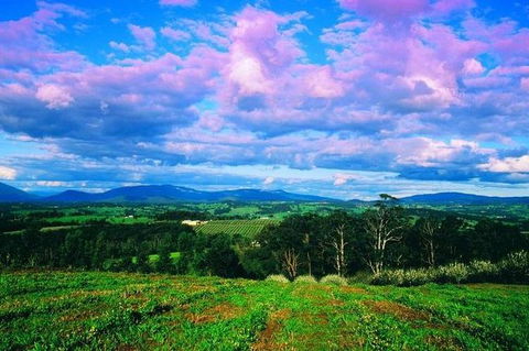 CHEVY CONVERTIBLE Package For 2 People- Wine Lunch Cheese & Chocolate From Melb. - Tweed Heads Accommodation 7