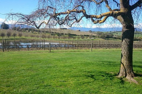 CHEVY CONVERTIBLE Package For 2 People- Wine Lunch Cheese & Chocolate From Melb. - Tweed Heads Accommodation 4