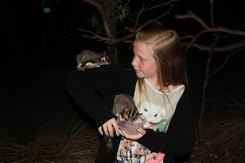 Moonlit Sanctuary Wildlife Conservation Park Evening Tour - Tweed Heads Accommodation 1